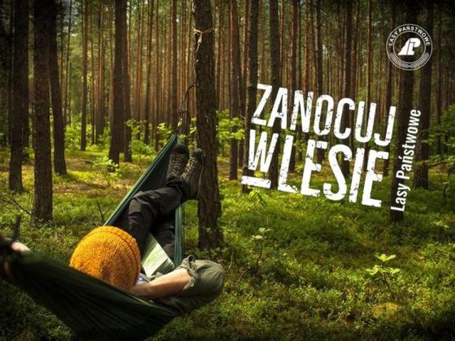 graf. za: Nadleśnictwo Kalisz