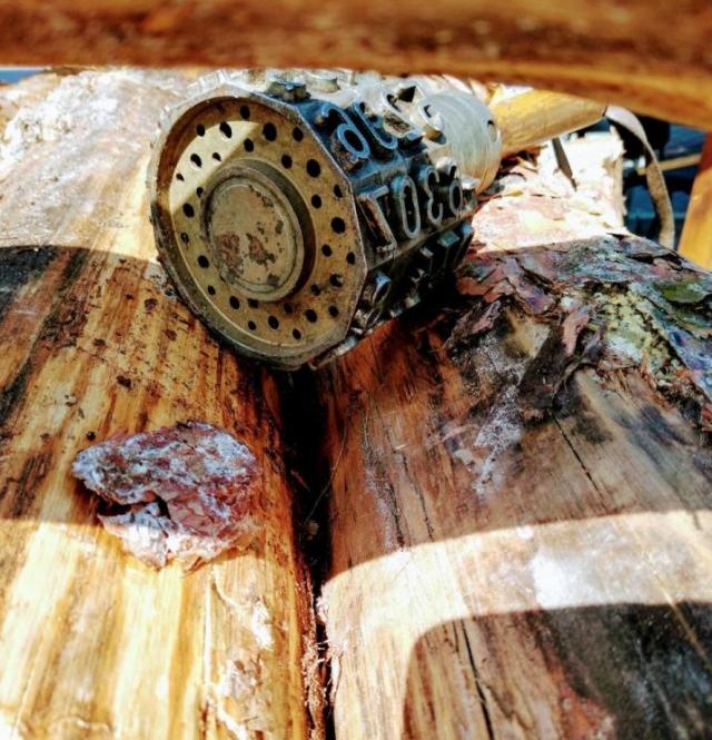 fot. Nadleśnictwo Kalisz