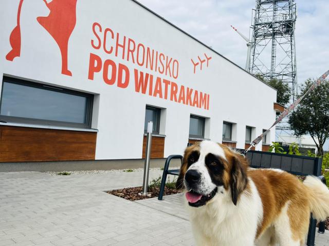 fot. Schronisko Ostrów