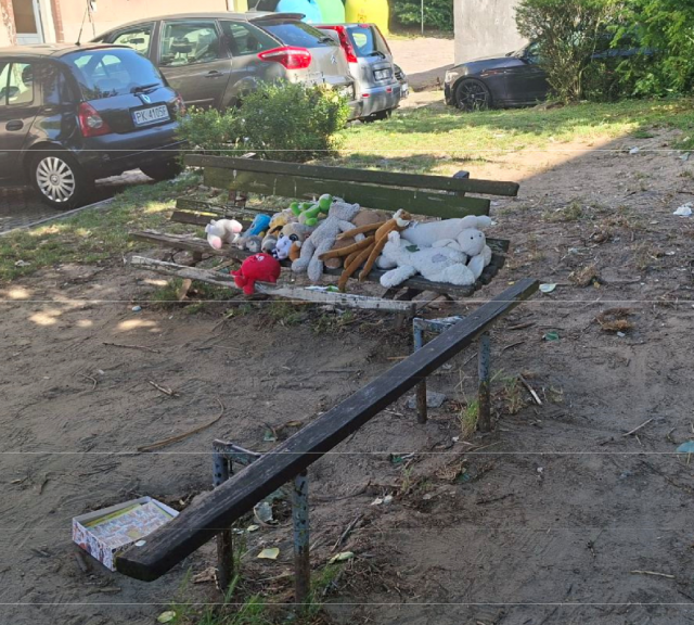 screen: Rada Miasta Kalisza Interpelacje i zapytania