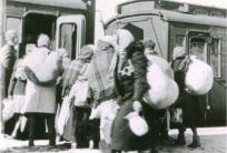fot. mat. promocyjne organizatora