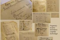 fot. muzeum.pleszew.pl