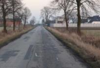 Zdj. W. Przybylska