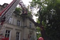 fot. Piotr Morwa / nasz reporter ON-LINE