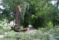 fot. GazetaKaliska.pl