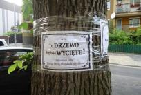 fot. Maciej Błachowicz