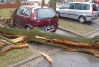 fot.: JRG Krotoszyn