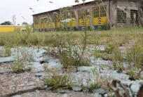 fot. GazetaKaliska.pl