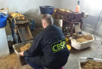 fot. CBŚP