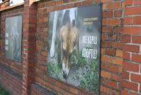 fot. GazetaKaliska.pl