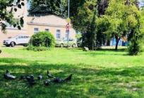 fot. GazetaKaliska.pl