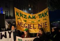 fot. fb Młodzieżowy Strajk Klimatyczny