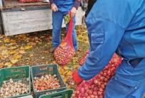 fot. kalisz.pl