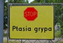 źródło: www.blaszki.pl