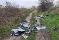 fot. Straż Miejska Kalisza