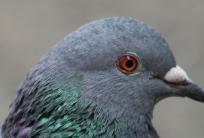 fot. www.RC.fm/archiwum