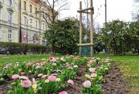 fot. kalisz.pl