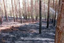 fot. JRG Ostrów Wielkopolski