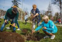 fot. UM Ostrów Wielkopolski