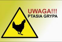 graf.: gov.pl