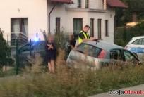 fot. mojaolesnica.pl