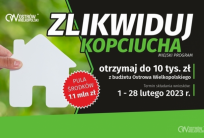 graf. UM Ostrów Wielkopolski