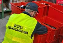 fot. www.wielkopolskie.kas.gov.pl