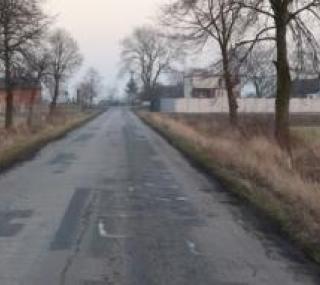 Zdj. W. Przybylska