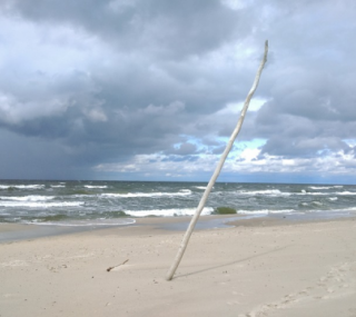 na fot.: plaża