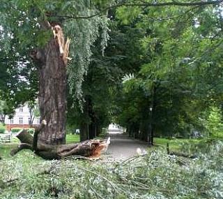 fot. GazetaKaliska.pl