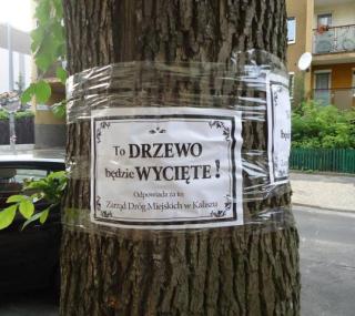 fot. Maciej Błachowicz