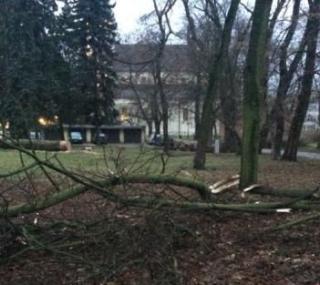 fot. GazetaKaliska.pl