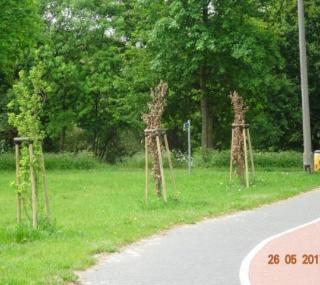 fot. słuchacz radiaCENTRUM
