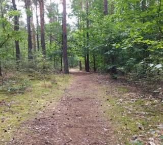 fot. GazetaKaliska