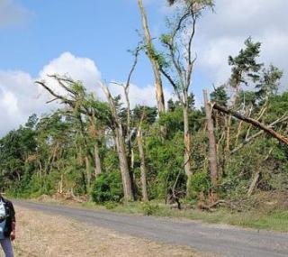 fot.: Starostwo Powiatowe w Kaliszu