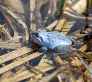 fot. Zespół Parków Krajobrazowych Województwa Łódzkiego