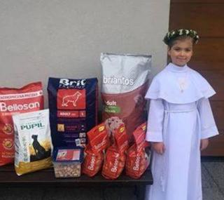fot. FB Schronisko w Wysocku Wielkim