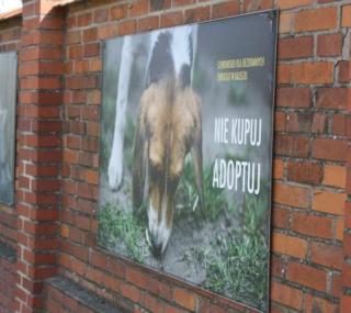 fot. GazetaKaliska.pl