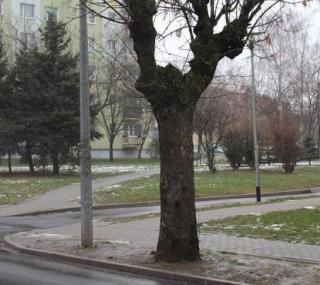 fot. GazetaKaliska.pl