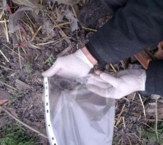 fot. Kaliskie Stowarzyszenie Pomocy Dla Zwierząt Help Animals