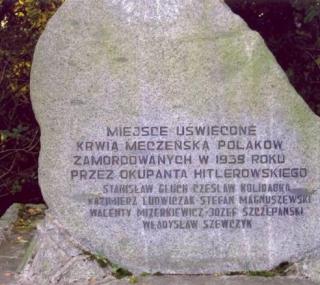 fot. Muzeum Regionalne w Pleszewie