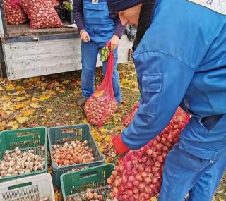 fot. kalisz.pl