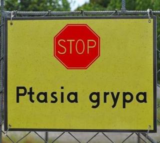 źródło: www.blaszki.pl