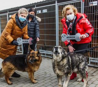 na fot.: prezydent Beata Klimek i prezes Marzena Wodzińska z nowymi podopiecznymi dla ostrowskich spółek / fot. UM Ostrów Wielkopolski