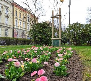 fot. kalisz.pl