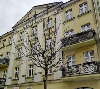 fot. UM w Kaliszu