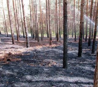 fot. JRG Ostrów Wielkopolski