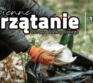 fot. organizator