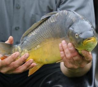 fot. www.RC.fm/archiwum