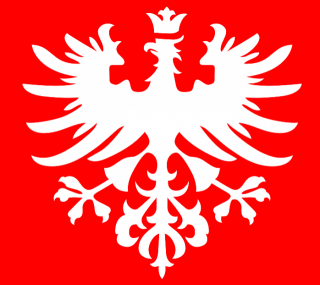 źródło graf.: UM Kalisza
